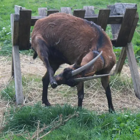 度假居 La Lavandiere