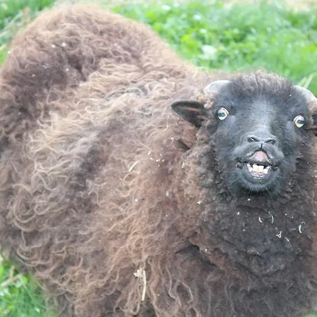 La Lavandiere 度假居 *