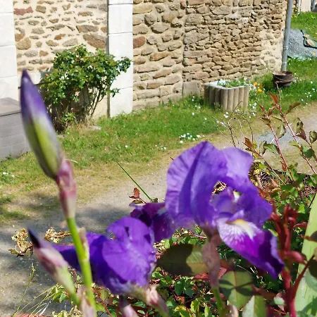 度假居 La Lavandiere La Chapelle-au-Riboul