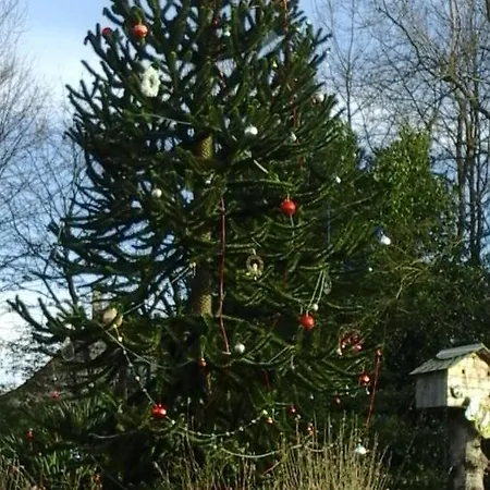 La Lavandiere La Chapelle-au-Riboul