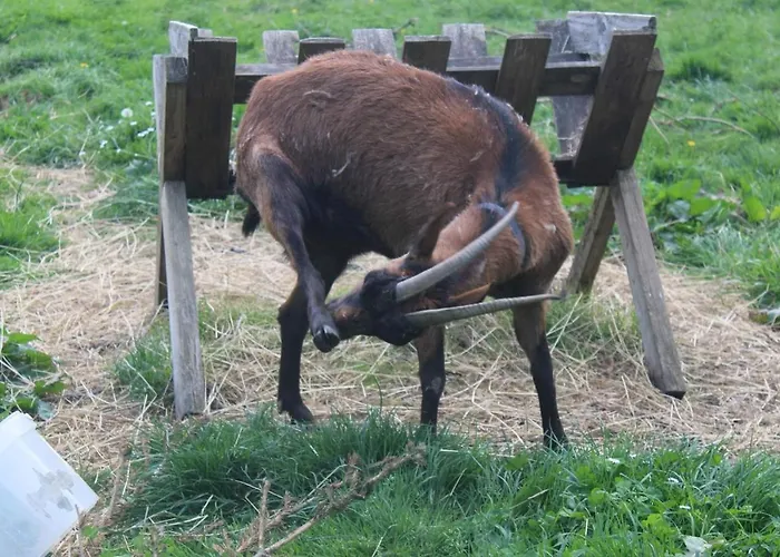 Prázdninový dům La Lavandiere