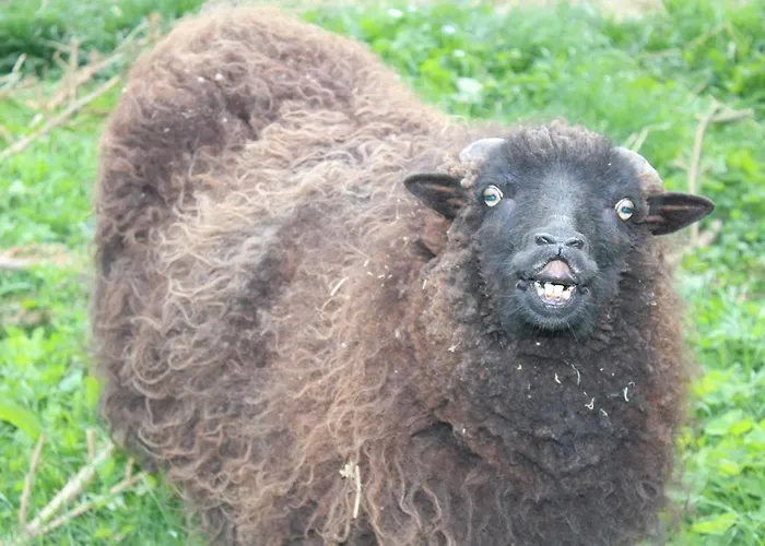 La Lavandiere Сasa de vacaciones *