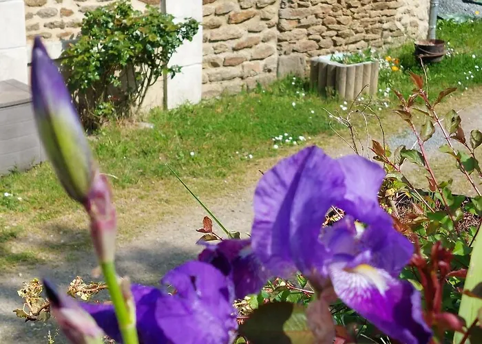 Сasa de vacaciones La Lavandiere La Chapelle-au-Riboul