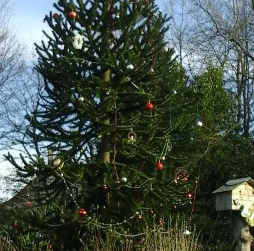 La Lavandiere La Chapelle-au-Riboul